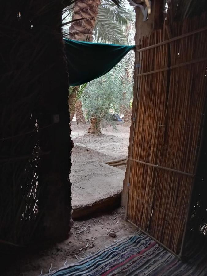 Forest Camp Siwa - كامب الغابة Siwa Oasis Exterior photo