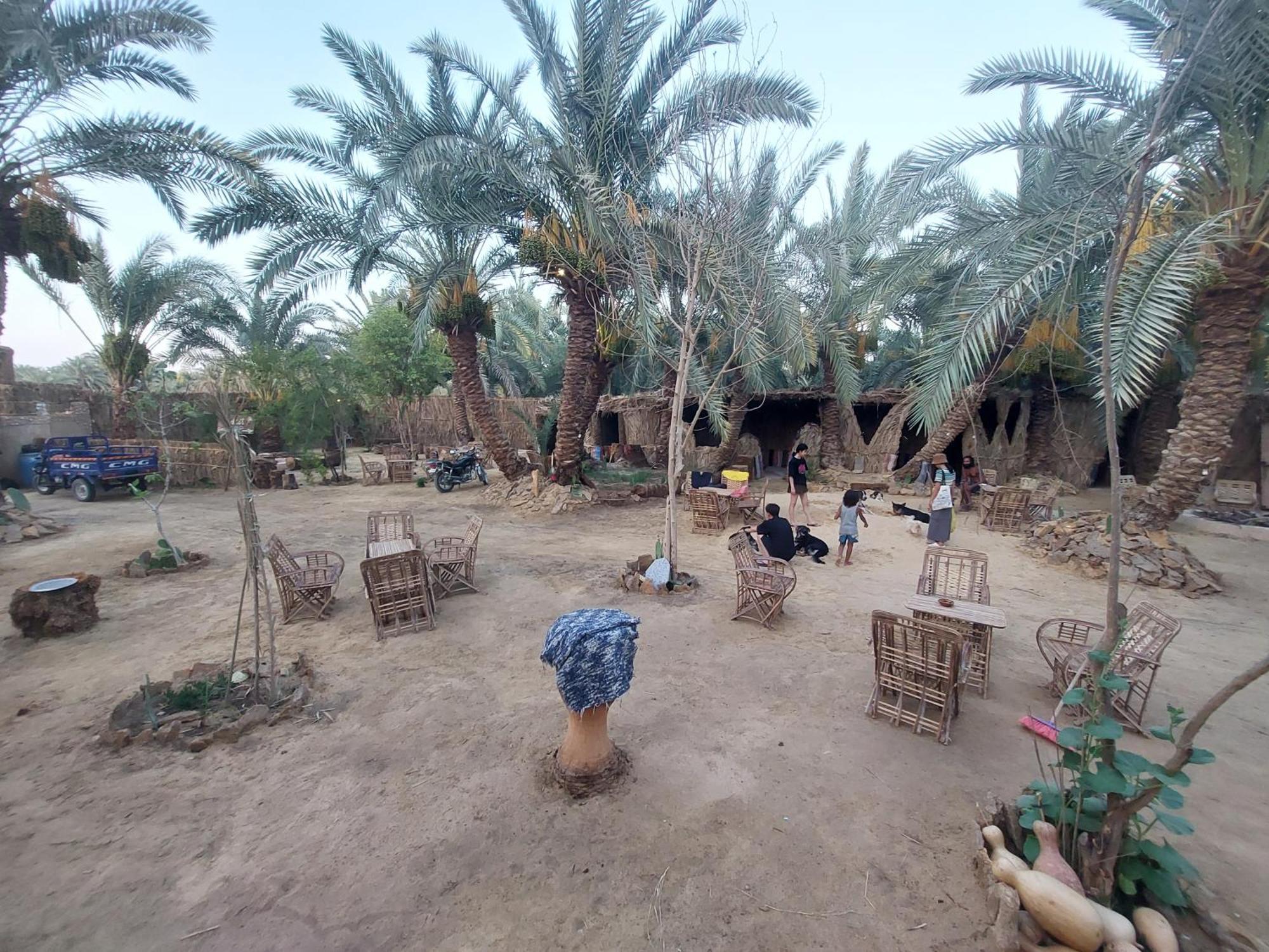 Forest Camp Siwa - كامب الغابة Siwa Oasis Exterior photo