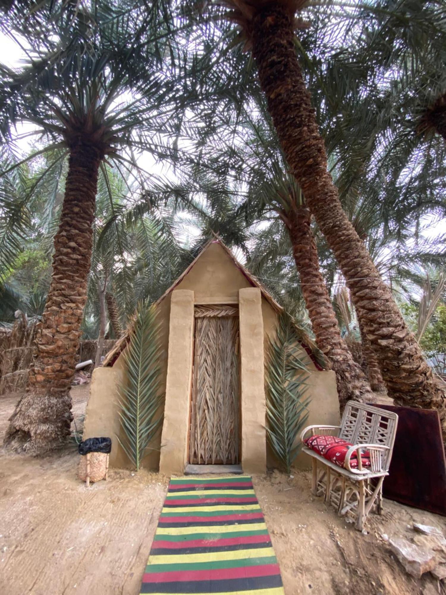 Forest Camp Siwa - كامب الغابة Siwa Oasis Exterior photo