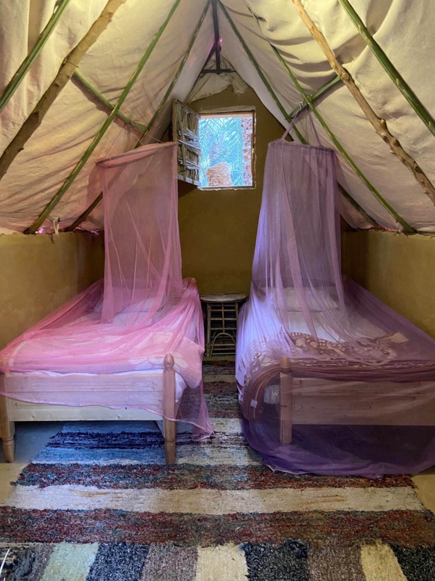 Forest Camp Siwa - كامب الغابة Siwa Oasis Exterior photo