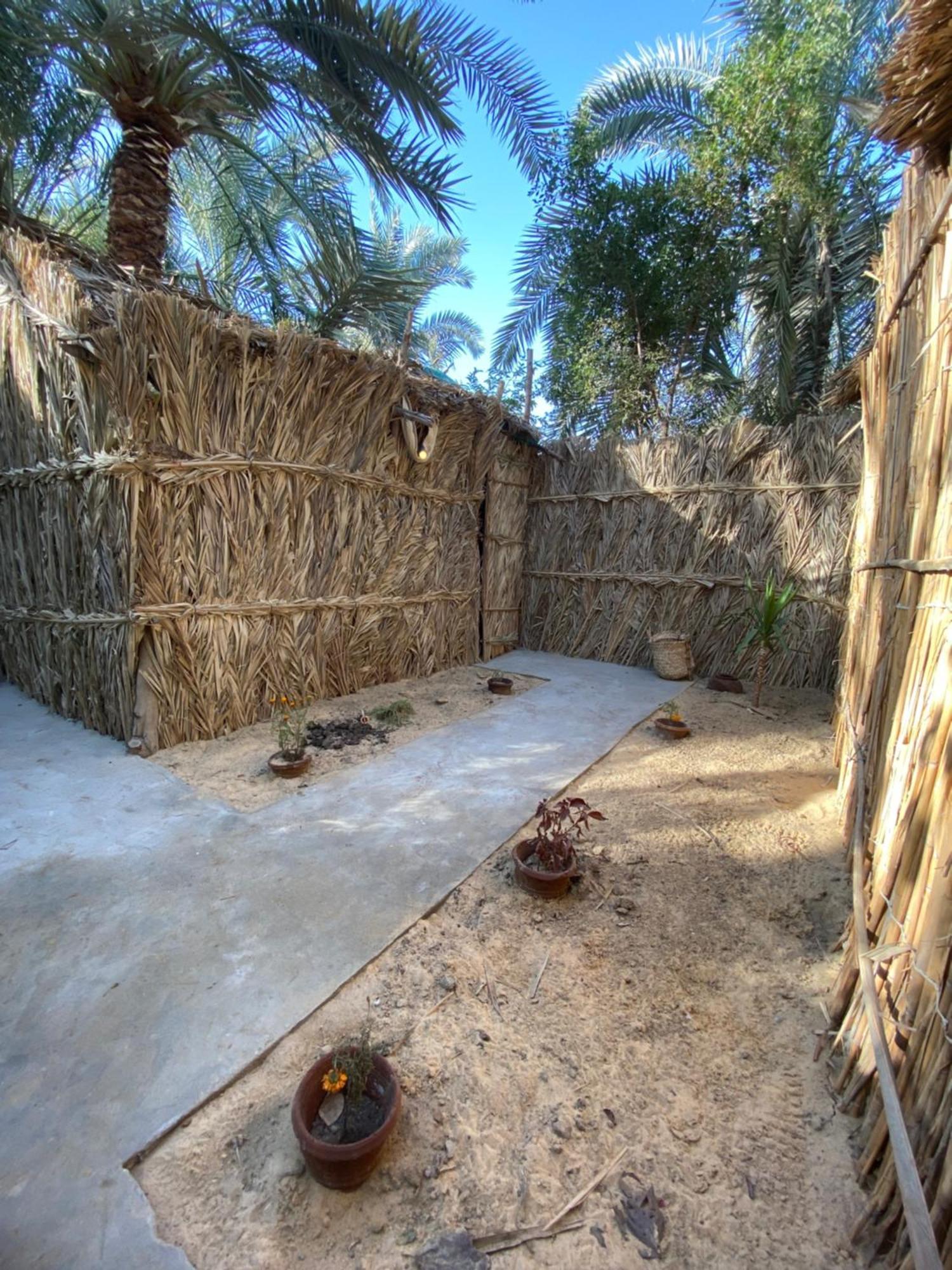 Forest Camp Siwa - كامب الغابة Siwa Oasis Exterior photo