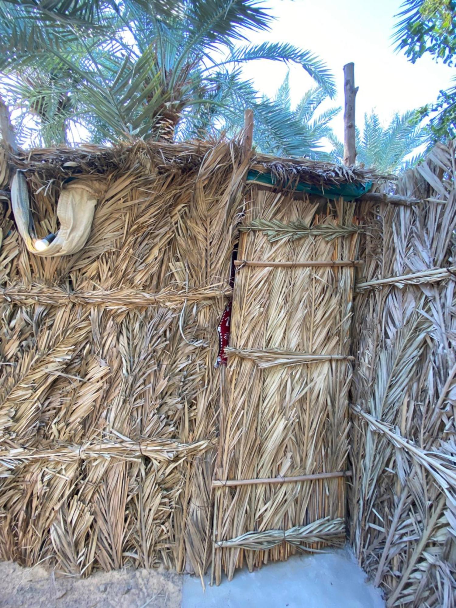 Forest Camp Siwa - كامب الغابة Siwa Oasis Exterior photo