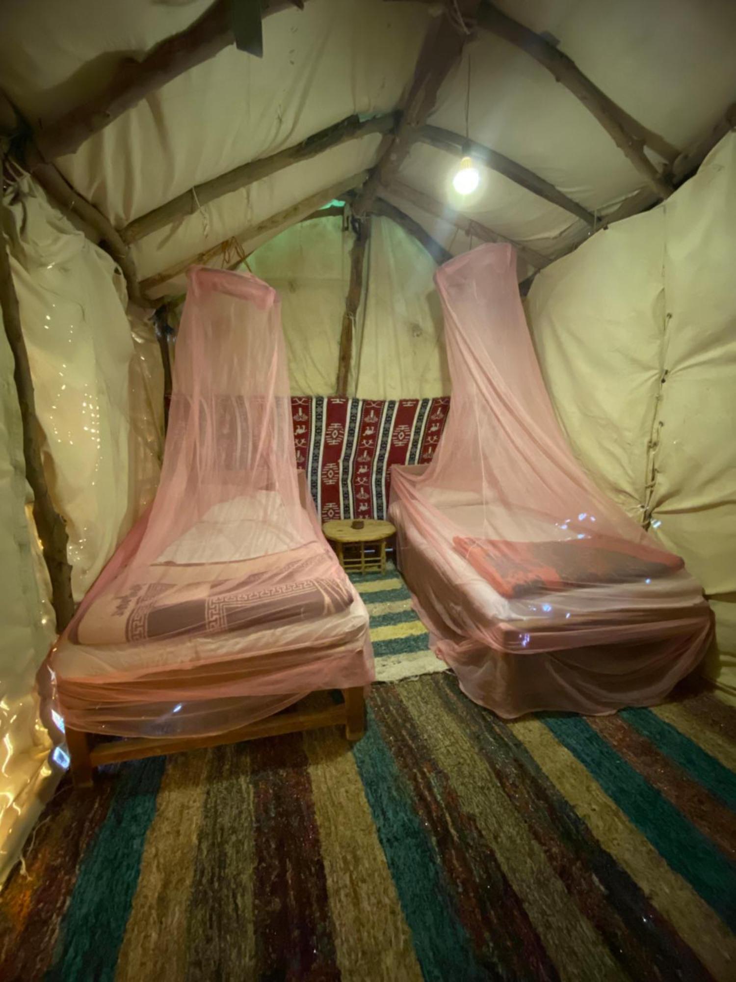 Forest Camp Siwa - كامب الغابة Siwa Oasis Exterior photo