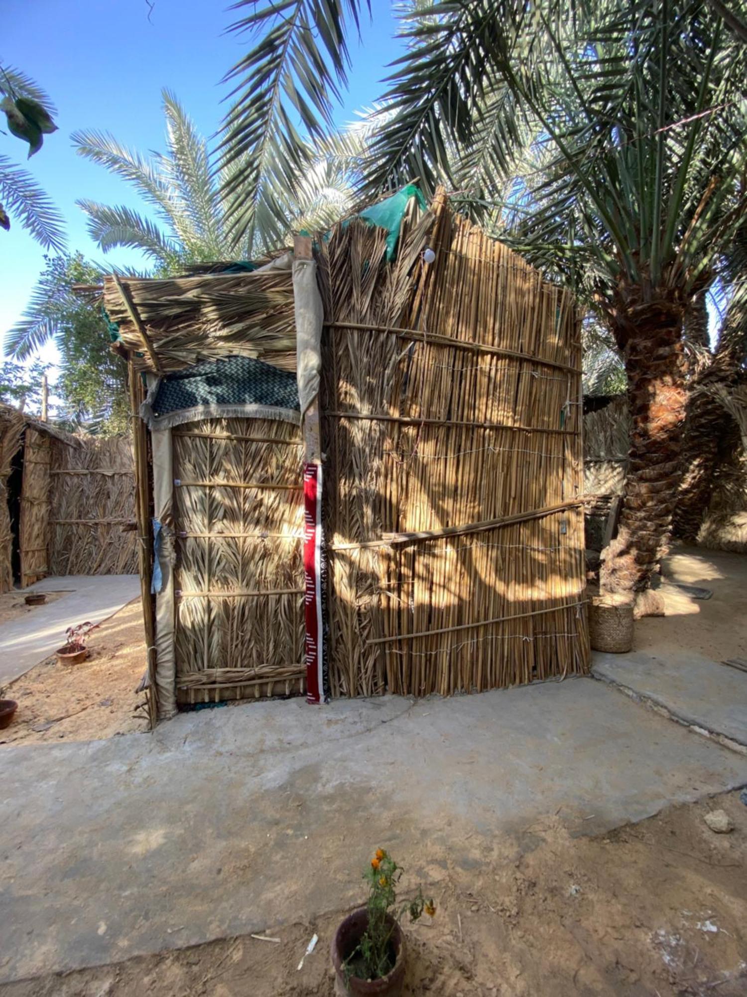 Forest Camp Siwa - كامب الغابة Siwa Oasis Exterior photo